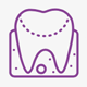 SCD_Crowns | Dentists Directory Canada-DDC