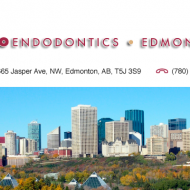 Microendodontics