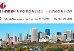 Microendodontics