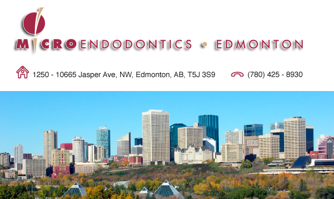 Microendodontics